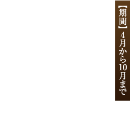 期間4月から10月まで旬の海の幸、山の幸をふんだんに使った当館自慢の会席プランです。メイン料理の但馬牛は、本場但馬の専門店より仕入れており、味には絶対の自信があります。ぜひ至極の逸品「但馬牛」をご堪能ください。